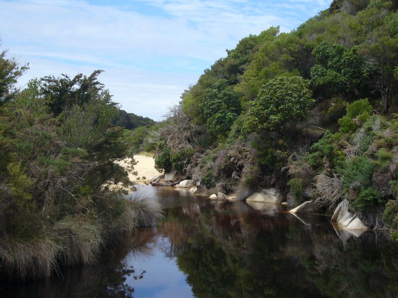 Travel - New Zealand - Abel Tasman National Park